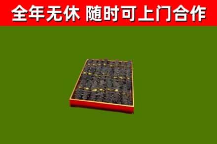 台安回收海参